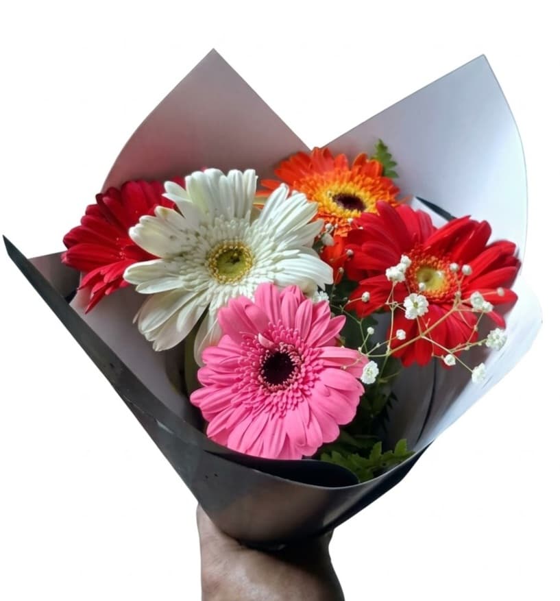 Small Mix Gerbera — fresh bouquet delivery near TIA, Kathmandu