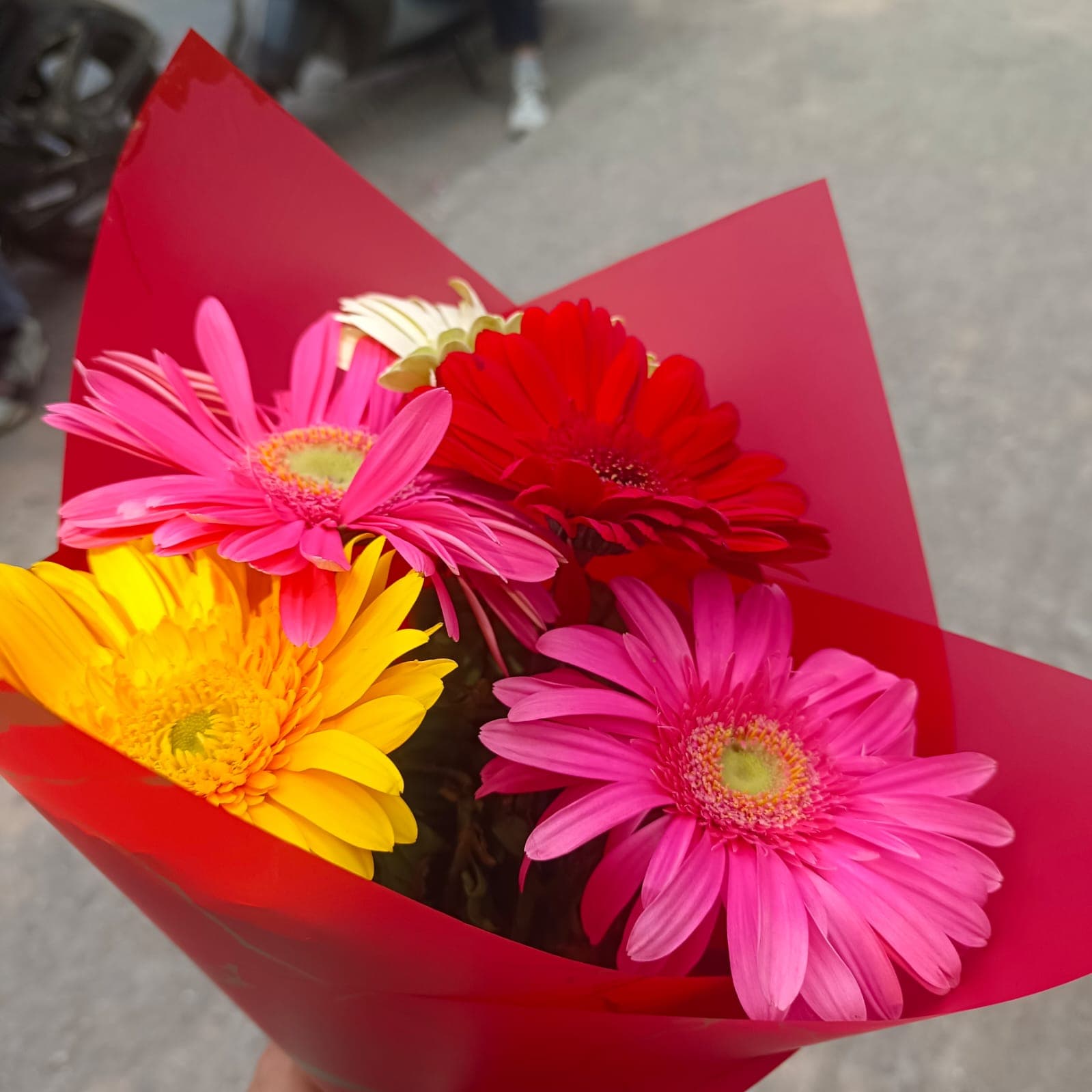 gerbera flower bouquet